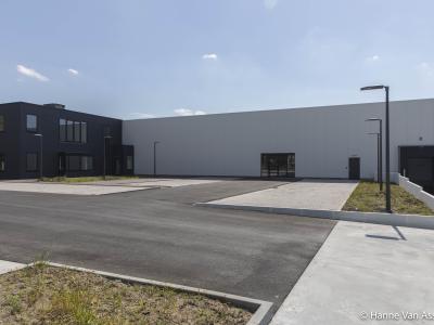 Spuntini, betonklinkers, glk, werf, asfalt, omgevingswerken