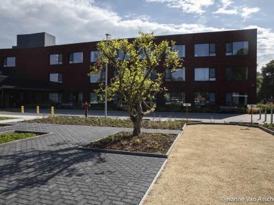 Zaffelare, woonzorgcentrum, parking, dolemiet, klinkers, omgevingswerken, rioleringswerken, betonklinkers, groenaanleg, glk