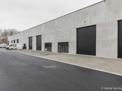 LCV Olsene, bedrijvenpark Ter Wallen, omgevingsaanleg, asfalt, klinkerverharding, grasdallen