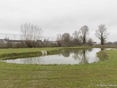 infiltratiebekken, wateropvang, Olsene, bedrijvenpark Bilkhage, rioleringswerken