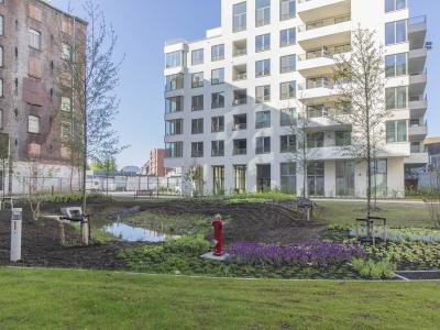 Binnenplaats de Molens met wadi